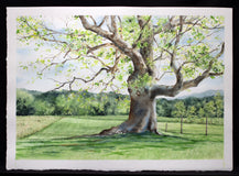 Original art for sale at UGallery.com | Spring Grandeur by Jill Poyerd | $1,325 | watercolor painting | 16' h x 24' w | thumbnail 3