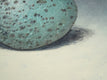 Original art for sale at UGallery.com | The Bird Waits in the Egg #3 by Jennifer Ross | $350 | mixed media artwork | 10' h x 10' w | thumbnail 4
