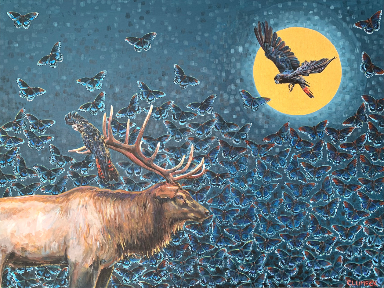 Nights Flight by Alana Clumeck |  Artwork Main Image 