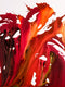 Original art for sale at UGallery.com | Allure by Krispen Spencer | $1,875 | acrylic painting | 40' h x 30' w | thumbnail 1