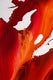 Original art for sale at UGallery.com | Allure by Krispen Spencer | $1,875 | acrylic painting | 40' h x 30' w | thumbnail 4