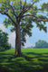 Original art for sale at UGallery.com | Oak at the Indian Lands by Andres Lopez | $1,675 | oil painting | 36' h x 24' w | thumbnail 1