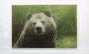 Original art for sale at UGallery.com | Cozy Bear by Ani and Andrew Abakumov | $5,800 | fiber artwork | 27' h x 40' w | thumbnail 3