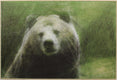 Original art for sale at UGallery.com | Cozy Bear by Ani and Andrew Abakumov | $5,800 | fiber artwork | 27' h x 40' w | thumbnail 1