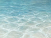 Original art for sale at UGallery.com | Ankle Deep by Laura Browning | $1,025 | oil painting | 18' h x 24' w | thumbnail 1