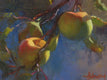 Original art for sale at UGallery.com | Apples in Sunlight by Sherri Aldawood | $475 | oil painting | 10' h x 10' w | thumbnail 4