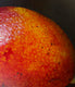 Original art for sale at UGallery.com | A Mango by Art Tatin | $325 | oil painting | 6' h x 8' w | thumbnail 2