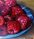 Original art for sale at UGallery.com | Raspberries by Art Tatin | $325 | oil painting | 6' h x 8' w | thumbnail 4