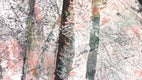 Original art for sale at UGallery.com | Bare Trees #5 by Valerie Berkely | $325 | oil painting | 11' h x 14' w | thumbnail 4