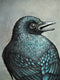 Original art for sale at UGallery.com | Blackbird Singing in the Morning Light by Jennifer Ross | $400 | oil painting | 8' h x 8' w | thumbnail 4