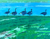 Original art for sale at UGallery.com | Five Geese by Brian McCarty | $675 | oil painting | 24' h x 30' w | thumbnail 1