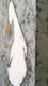 Original art for sale at UGallery.com | Flight of the Bumblebee by Jaime Ellsworth | $1,700 | acrylic painting | 18' h x 36' w | thumbnail 2