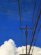 Original art for sale at UGallery.com | California by Jesse Aldana | $525 | oil painting | 20' h x 16' w | thumbnail 4