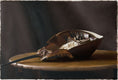 Original art for sale at UGallery.com | Horseshoe Crab by Daniel Caro | $750 | oil painting | 10.8' h x 15.7' w | thumbnail 1