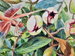 Original art for sale at UGallery.com | Dragonfly and Port Wine Magnolia by Catherine McCargar | $800 | watercolor painting | 11' h x 15' w | thumbnail 4