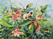 Original art for sale at UGallery.com | Dragonfly and Port Wine Magnolia by Catherine McCargar | $800 | watercolor painting | 11' h x 15' w | thumbnail 1