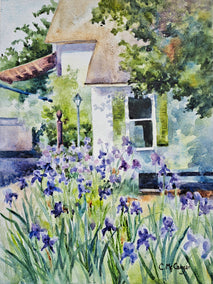 watercolor painting by Catherine McCargar titled French Laundry Irises
