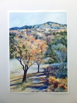 Mount Diablo, Sugarloaf View by Catherine McCargar |  Context View of Artwork 