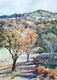 Original art for sale at UGallery.com | Mount Diablo, Sugarloaf View by Catherine McCargar | $575 | watercolor painting | 15' h x 11' w | thumbnail 1