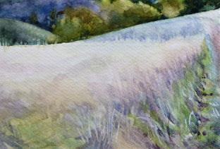 Mt. Diablo Meadow by Catherine McCargar |   Closeup View of Artwork 