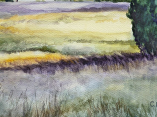 New Day Dawning by Catherine McCargar |   Closeup View of Artwork 