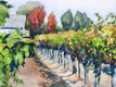 Original art for sale at UGallery.com | November in the Vineyard by Catherine McCargar | $575 | watercolor painting | 11' h x 15' w | thumbnail 4