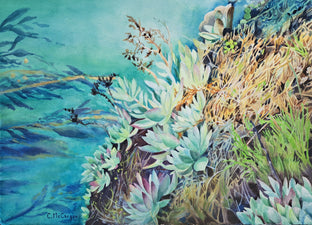 Original art for sale at UGallery.com | Point Lobos Succulents by Catherine McCargar | $1,825 | watercolor painting | 16' h x 22.5' w | photo 1