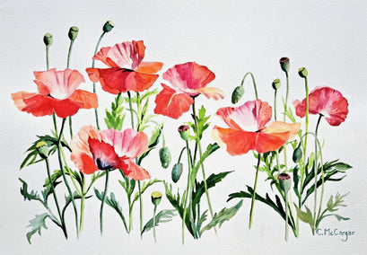 watercolor painting by Catherine McCargar titled Poppies Aflutter