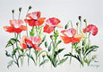 Original art for sale at UGallery.com | Poppies Aflutter by Catherine McCargar | $1,300 | watercolor painting | 14' h x 20' w | thumbnail 1