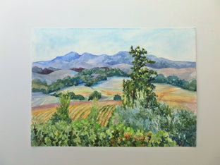 Sonoma Vineyards by Catherine McCargar |  Context View of Artwork 