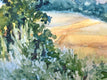 Original art for sale at UGallery.com | Sonoma Vineyards by Catherine McCargar | $575 | watercolor painting | 11' h x 15' w | thumbnail 4