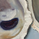 Original art for sale at UGallery.com | Chesapeake Oysters by Kristine Kainer | $3,200 | oil painting | 24' h x 36' w | thumbnail 4