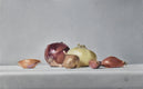 Original art for sale at UGallery.com | Alliums by Christopher Garvey | $875 | oil painting | 10' h x 16' w | thumbnail 1
