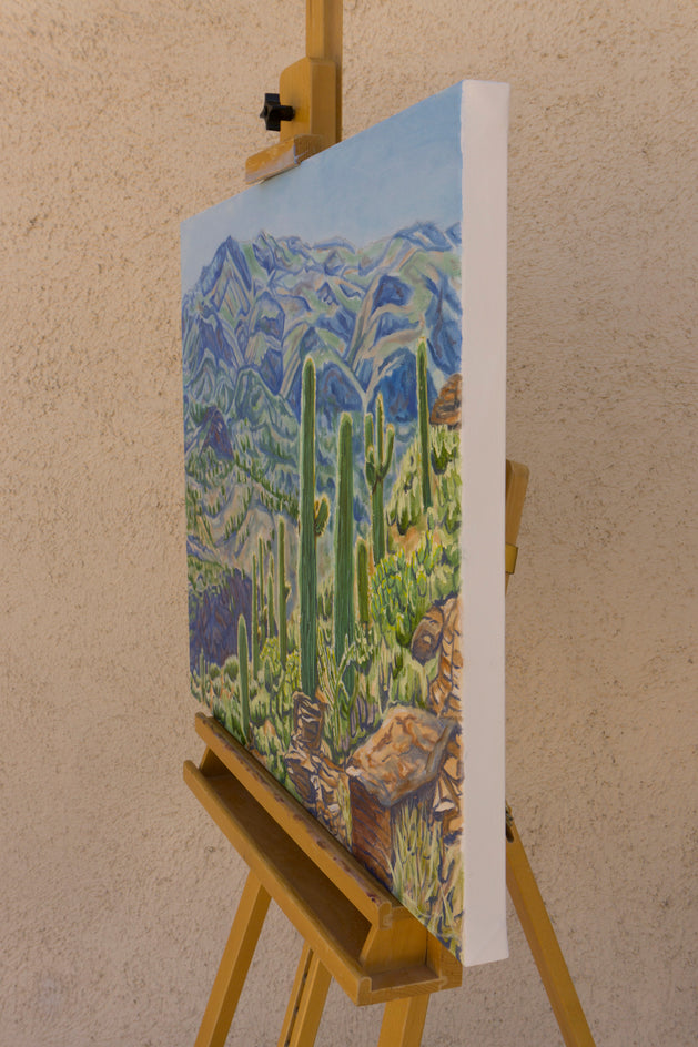 Sonoran Hillside by Crystal DiPietro |  Side View of Artwork 