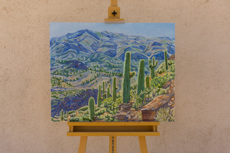 Sonoran Hillside by Crystal DiPietro |  Context View of Artwork 