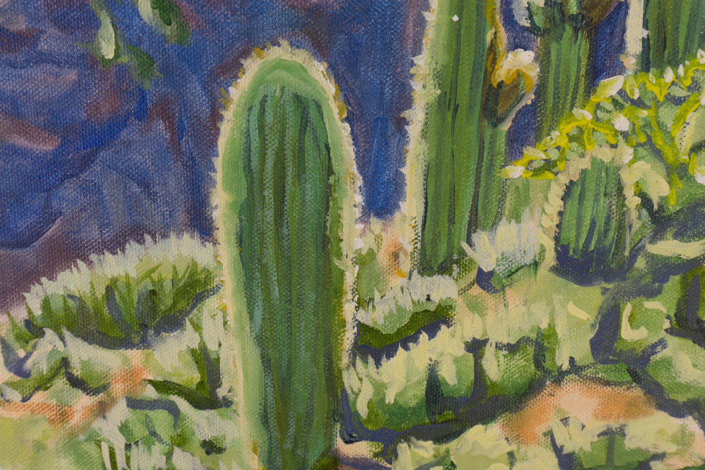 Sonoran Hillside by Crystal DiPietro |  Closeup View of Artwork 