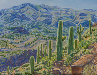 Original art for sale at UGallery.com | Sonoran Hillside by Crystal DiPietro | $2,175 | oil painting | 24' h x 30' w | photo 1