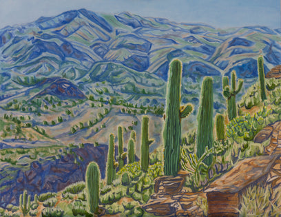 Sonoran Hillside by Crystal DiPietro | Artwork Main Image