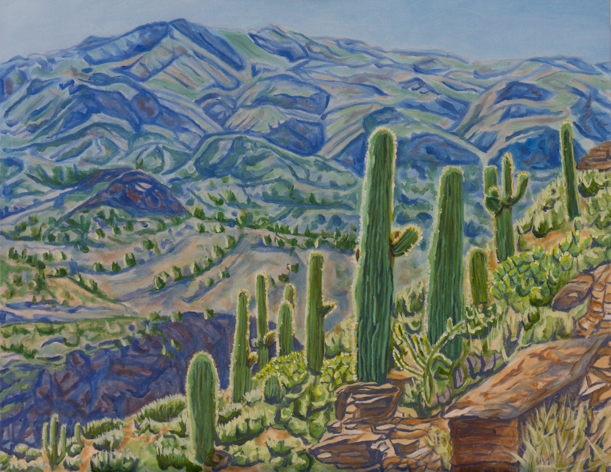 Sonoran Hillside by Crystal DiPietro |  Artwork Main Image 