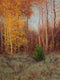 Original art for sale at UGallery.com | At the End of the Day by Dariusz Choinski | $925 | oil painting | 16' h x 12' w | thumbnail 1