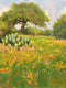 Original art for sale at UGallery.com | May Wildflowers by David Forks | $500 | oil painting | 12' h x 9' w | thumbnail 1