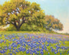Original art for sale at UGallery.com | Roadside Blues by David Forks | $675 | oil painting | 11' h x 14' w | thumbnail 1