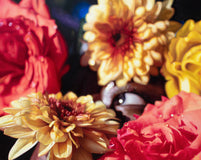 Original art for sale at UGallery.com | Blending In by David Shepherd | $9,650 | oil painting | 36' h x 44' w | thumbnail 1