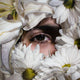 Original art for sale at UGallery.com | Fresh Start by David Shepherd | $23,750 | oil painting | 58' h x 58' w | thumbnail 1