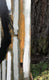 Original art for sale at UGallery.com | Dogcatcher by Jaime Ellsworth | $3,300 | acrylic painting | 48' h x 36' w | thumbnail 2