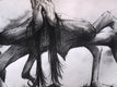 Original art for sale at UGallery.com | Shame Faced Crab by Drew McSherry | $275 | charcoal drawing | 8.12' h x 15.37' w | thumbnail 4