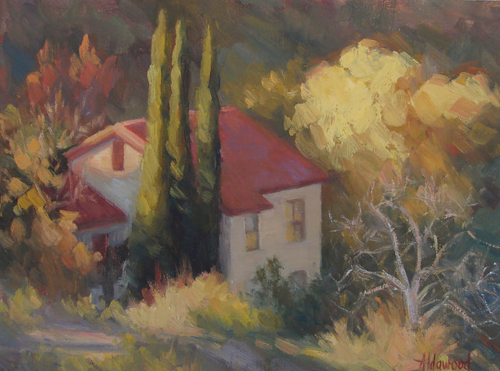 House on Mingus Mountain by Sherri Aldawood |  Artwork Main Image 