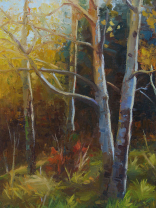 Aspens in Golden Light by Sherri Aldawood |   Closeup View of Artwork 