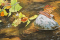 Original art for sale at UGallery.com | Live Streaming by Dwight Smith | $600 | watercolor painting | 14' h x 20' w | thumbnail 4