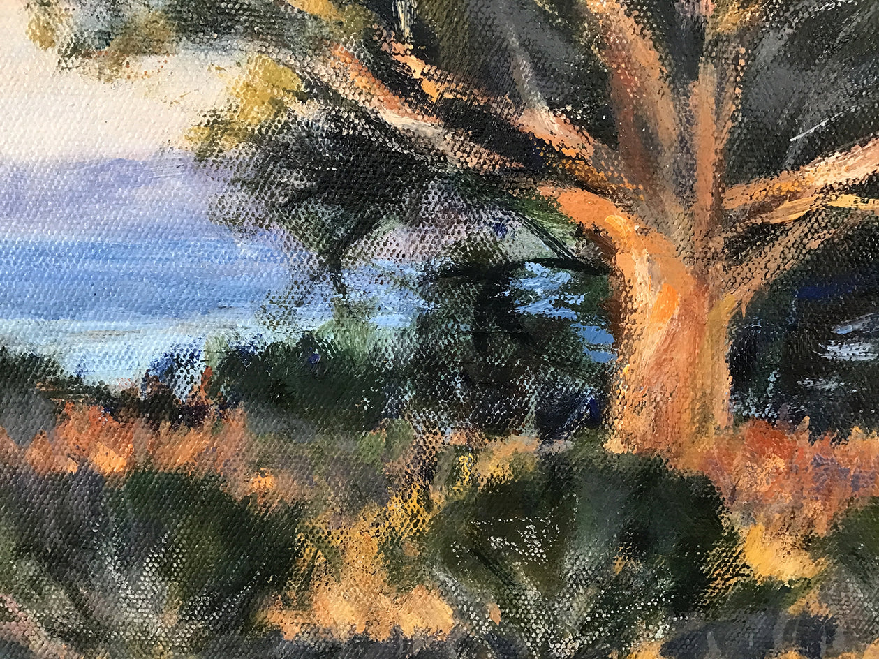 Coastal Elder at Cayucos by Elizabeth Garat |  Closeup View of Artwork 